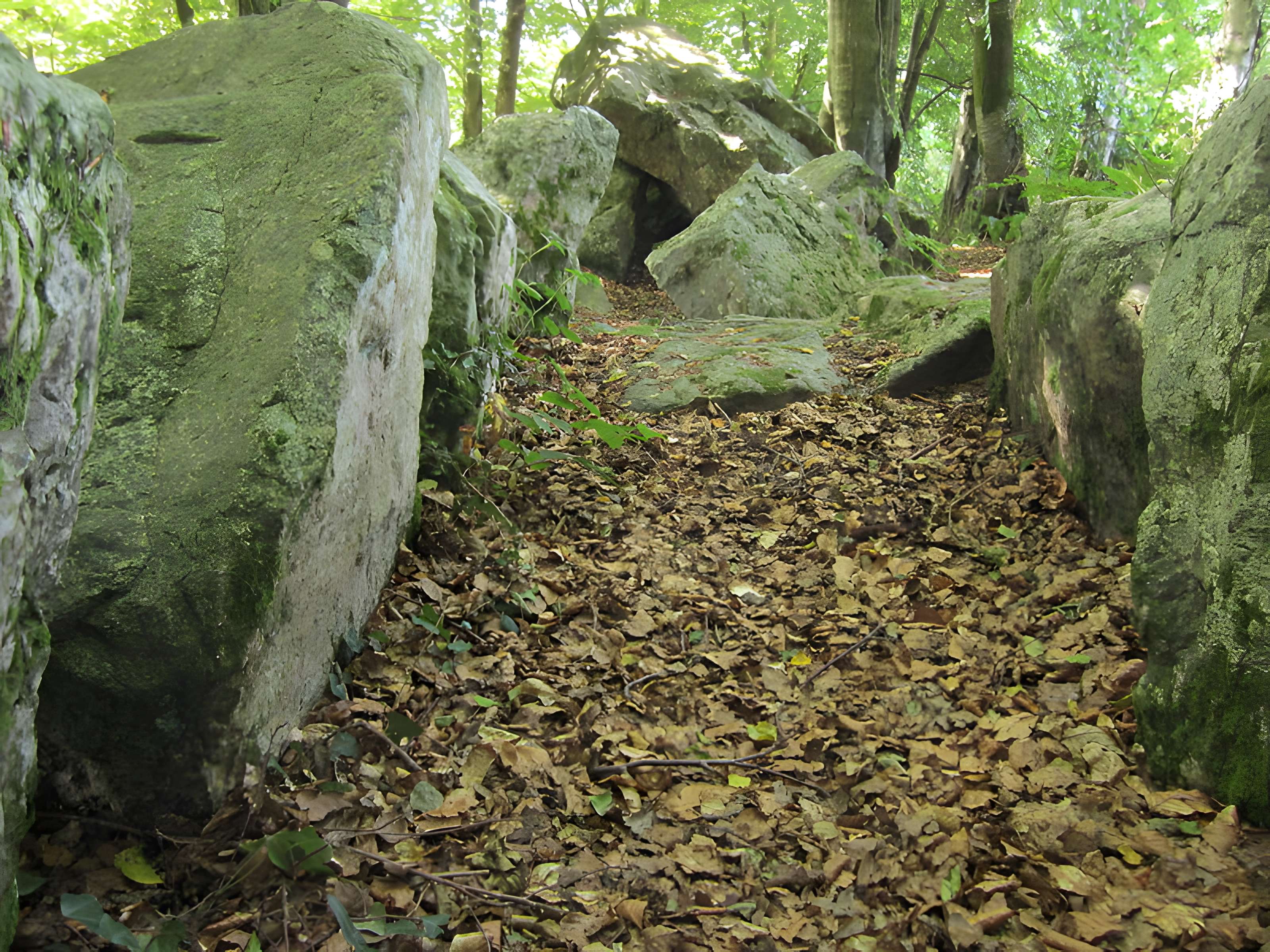 Allée couverte de la Petite Roche à Rocheville
