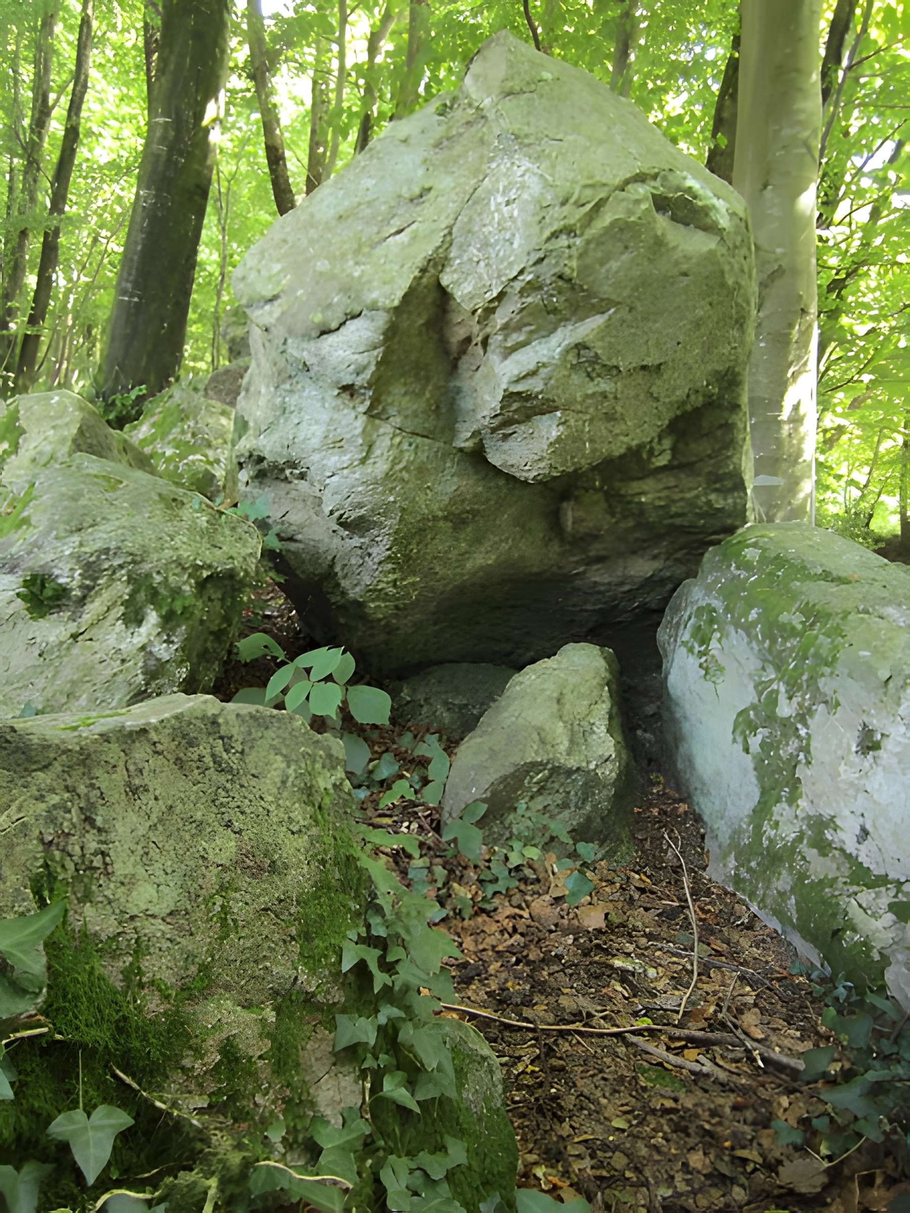 Allée couverte de la Petite Roche à Rocheville