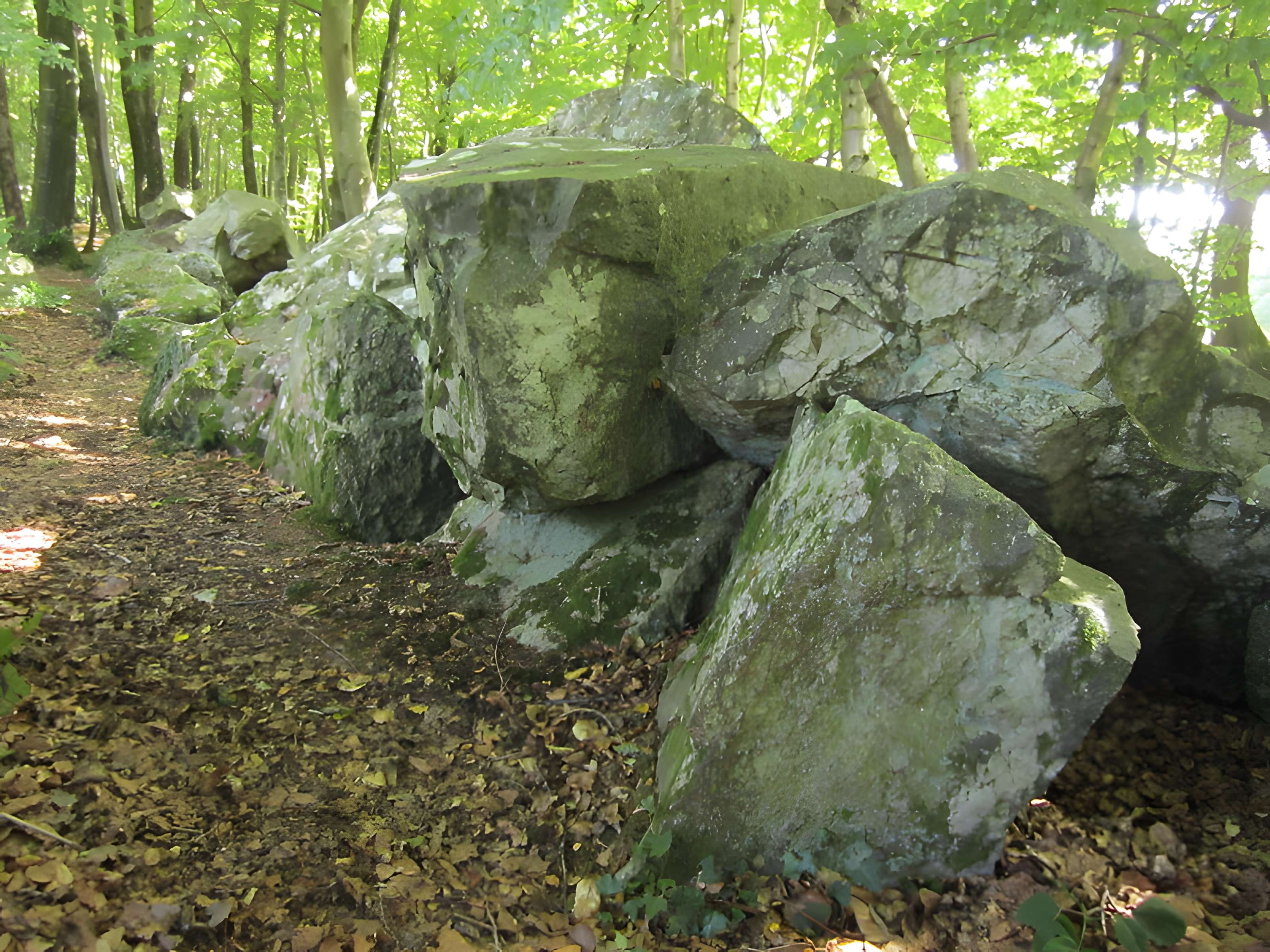 Allée couverte de la Petite Roche à Rocheville