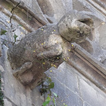 Église Saint-Martin dAncerville