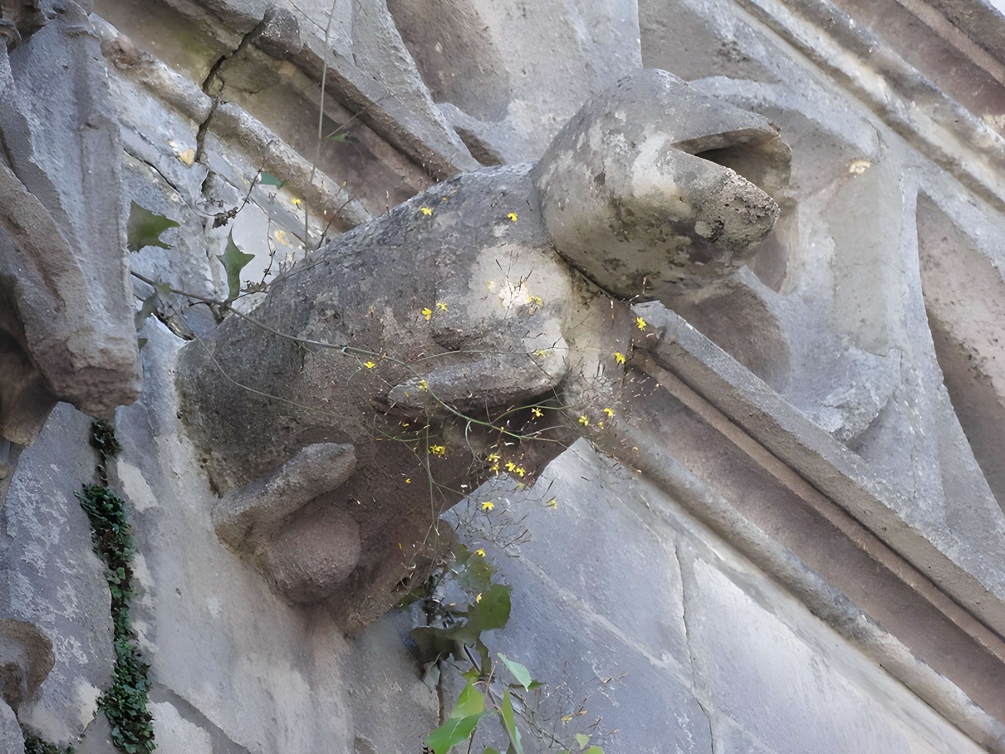 Église Saint-Martin d'Ancerville