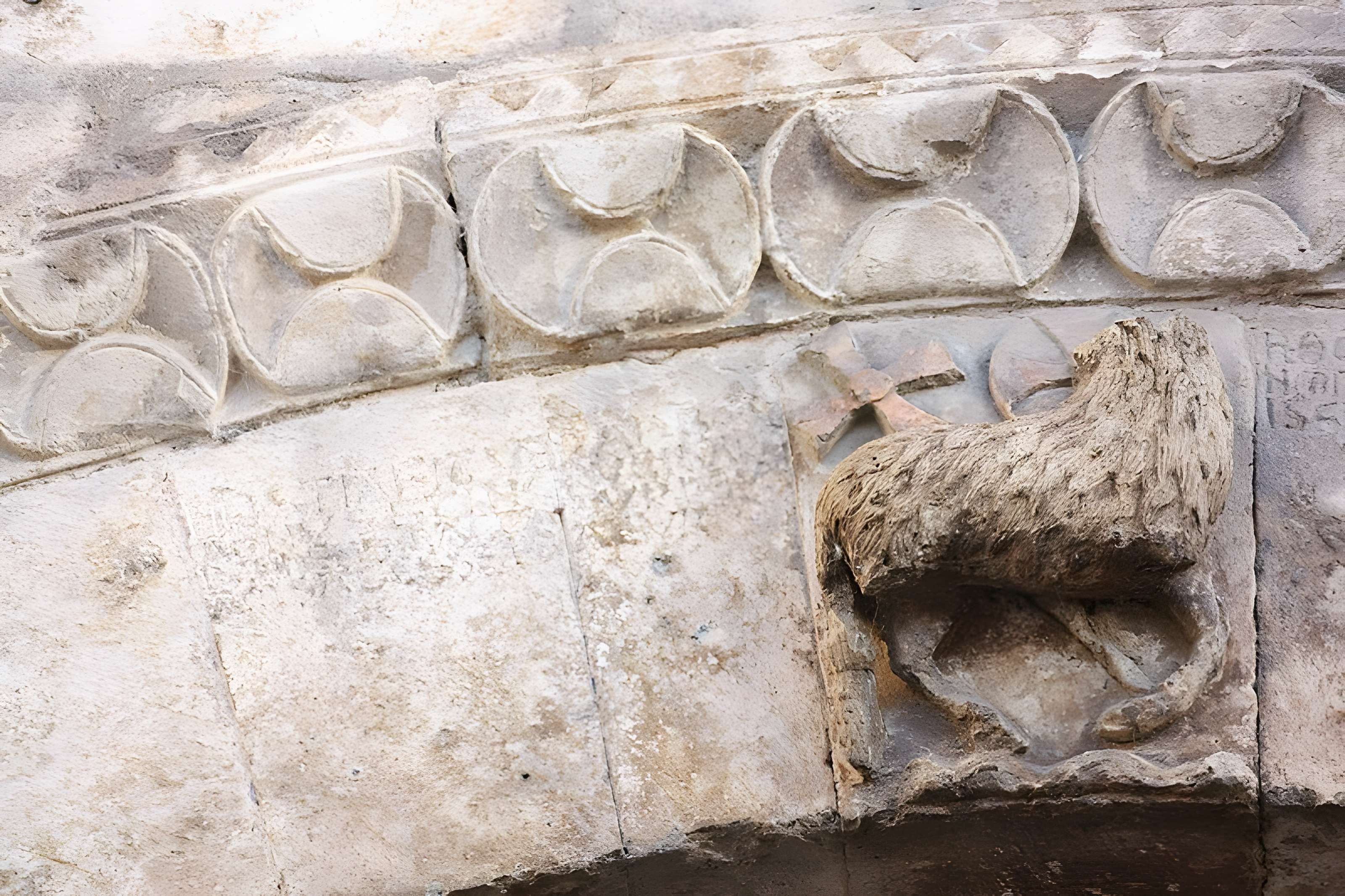 Église Saint-Martin d'Ardentes