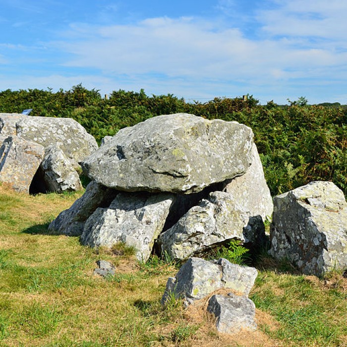Photo de Allée couverte dite des Pierres Pouquelées
