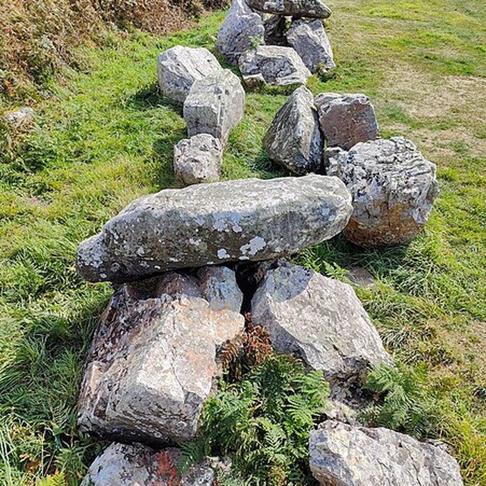 Photo de Allée couverte dite des Pierres Pouquelées