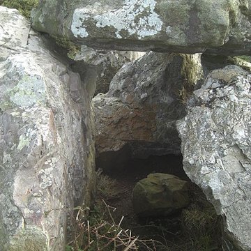 Allée couverte dite des Pierres Pouquelées