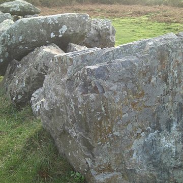 Allée couverte dite des Pierres Pouquelées