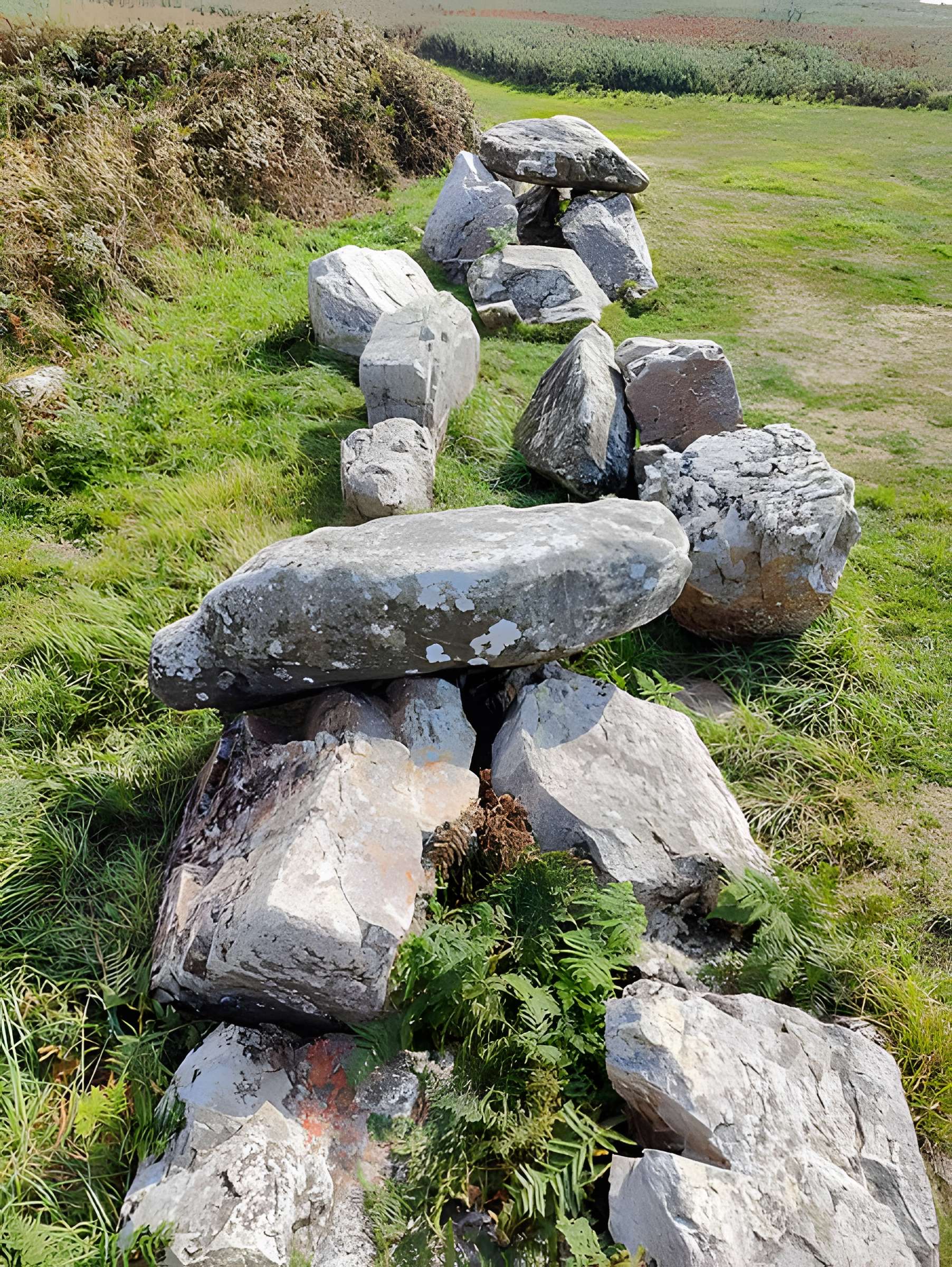 Allée couverte dite des Pierres Pouquelées