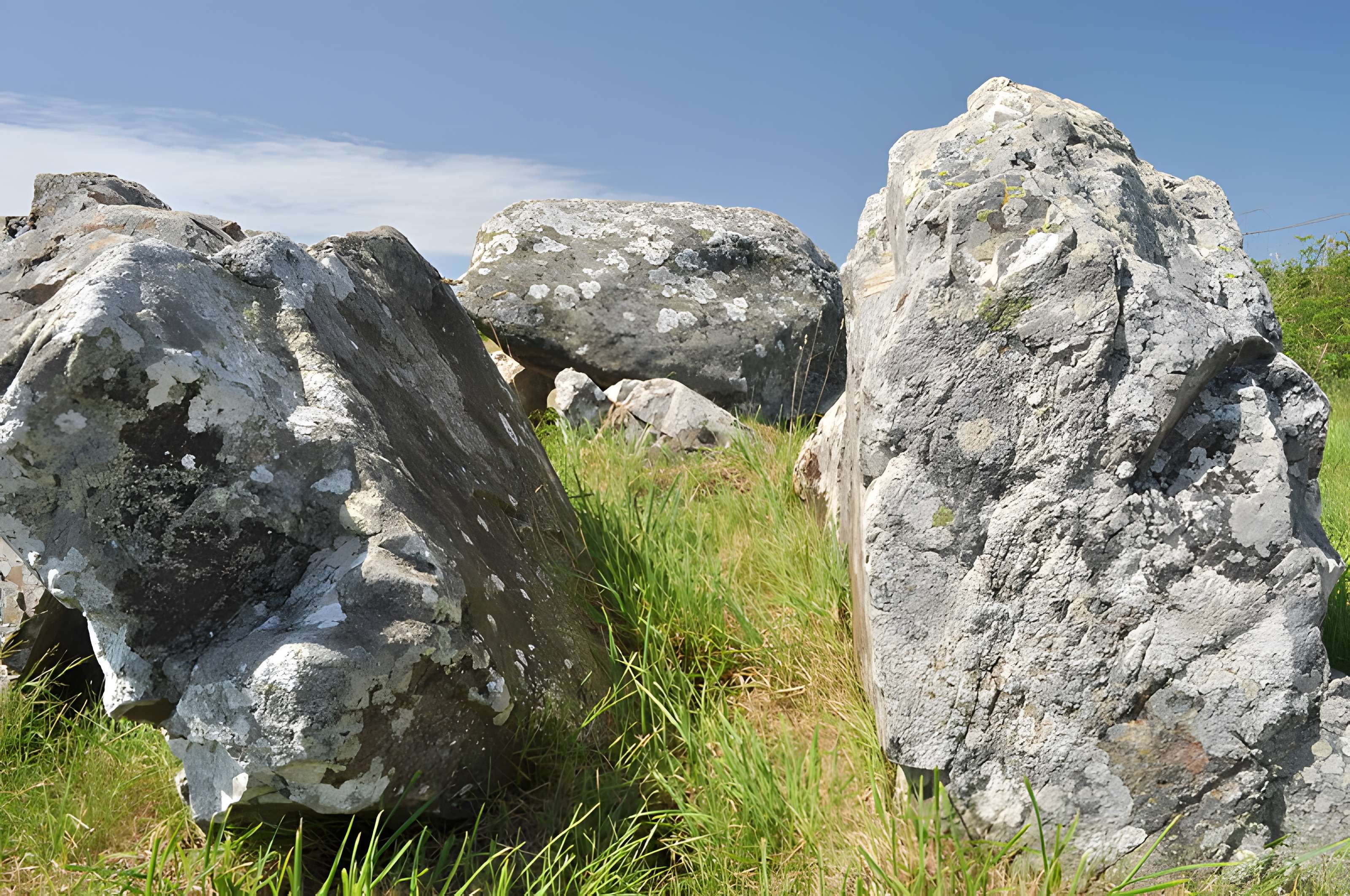 Allée couverte dite des Pierres Pouquelées
