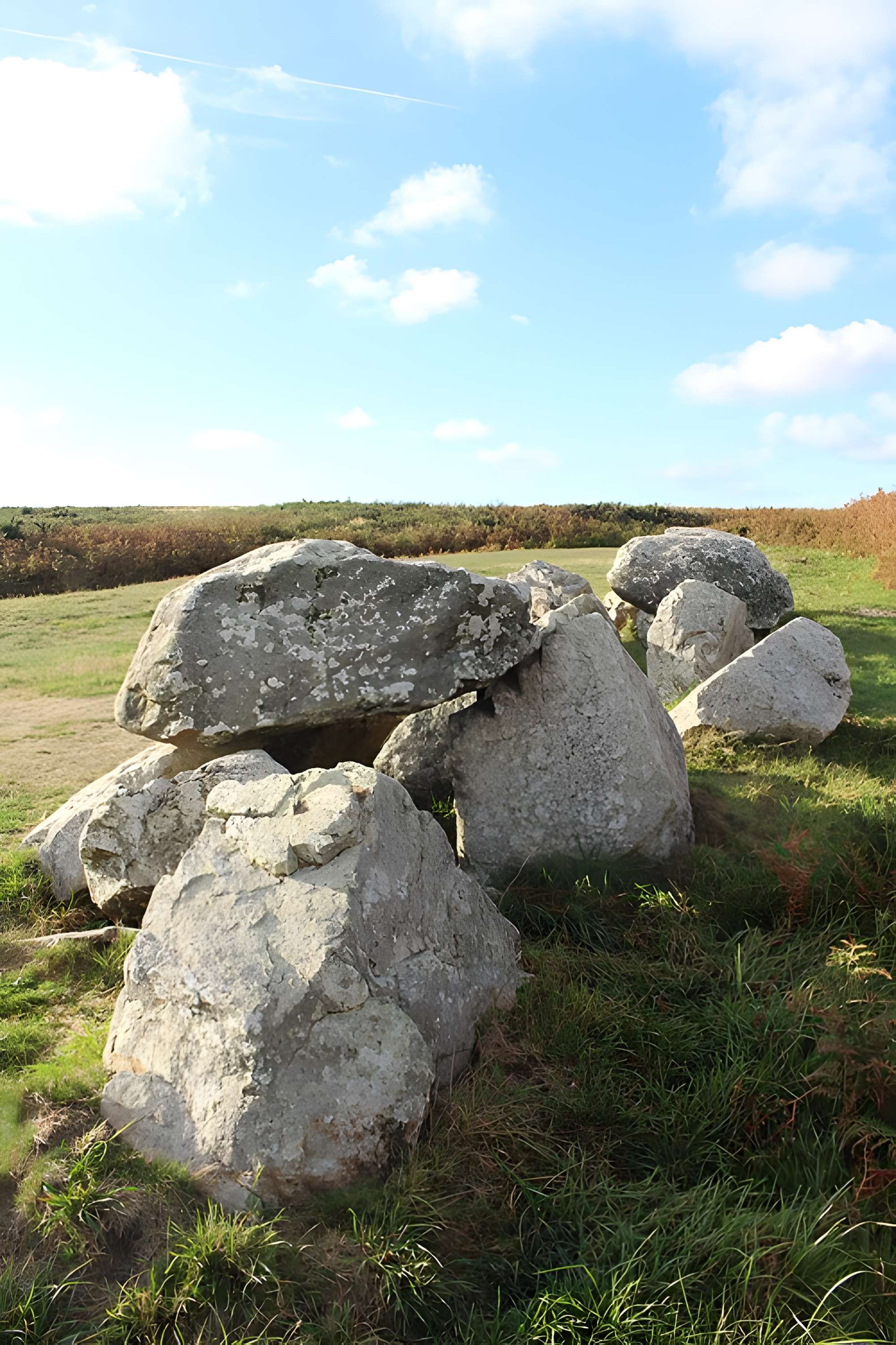 Allée couverte dite des Pierres Pouquelées