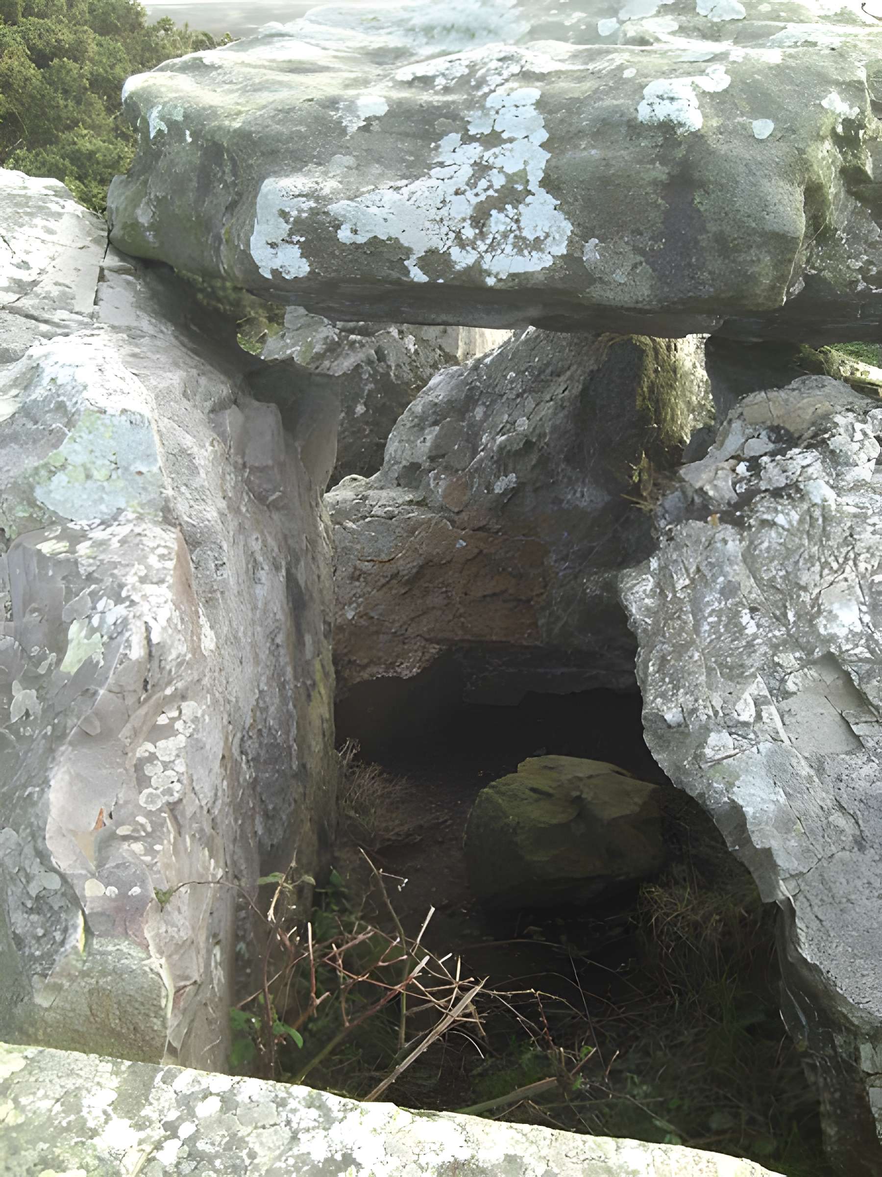 Allée couverte dite des Pierres Pouquelées