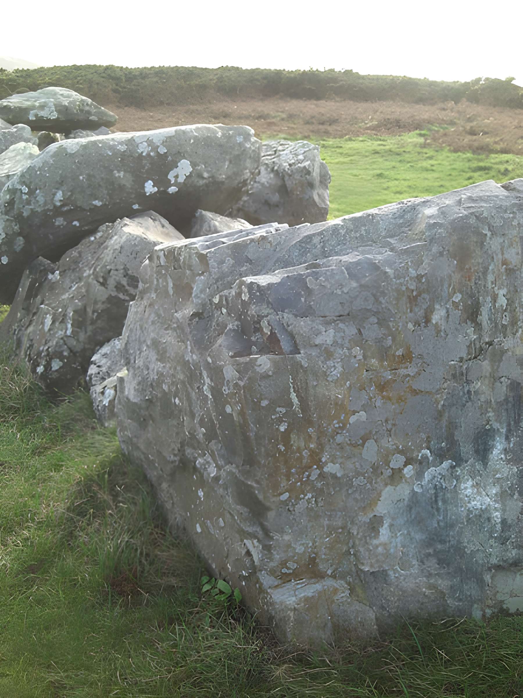 Allée couverte dite des Pierres Pouquelées