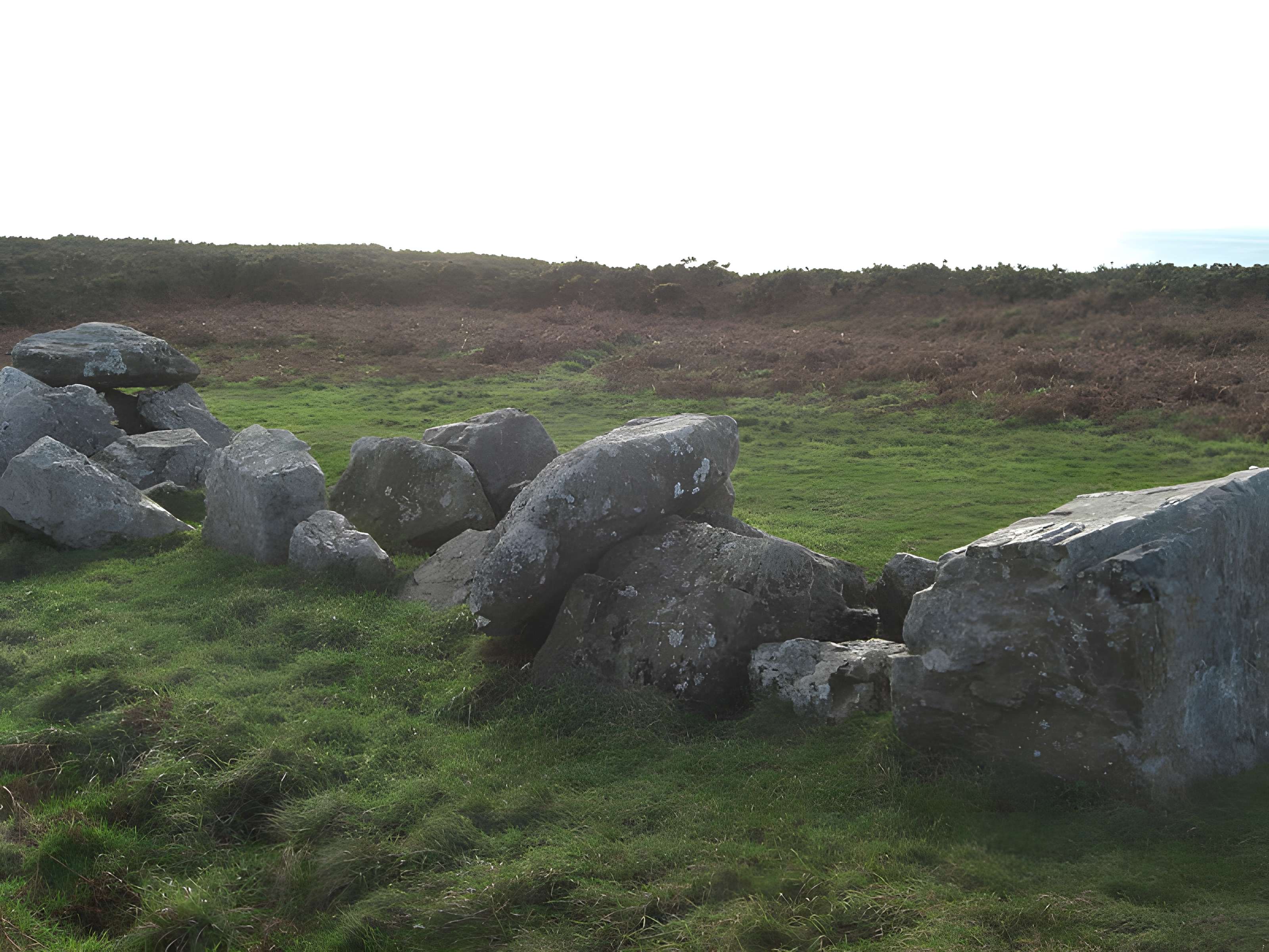 Allée couverte dite des Pierres Pouquelées