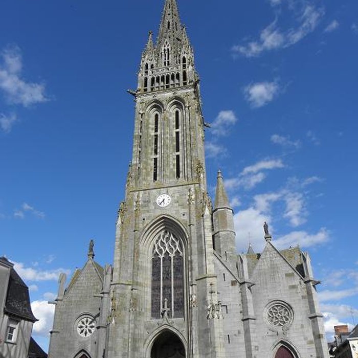 Photo de Basilique Notre-Dame-de-lAssomption de La Guerche-de-Bretagne