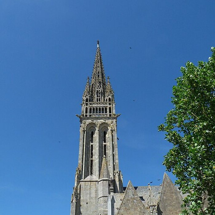 Photo de Basilique Notre-Dame-de-lAssomption de La Guerche-de-Bretagne