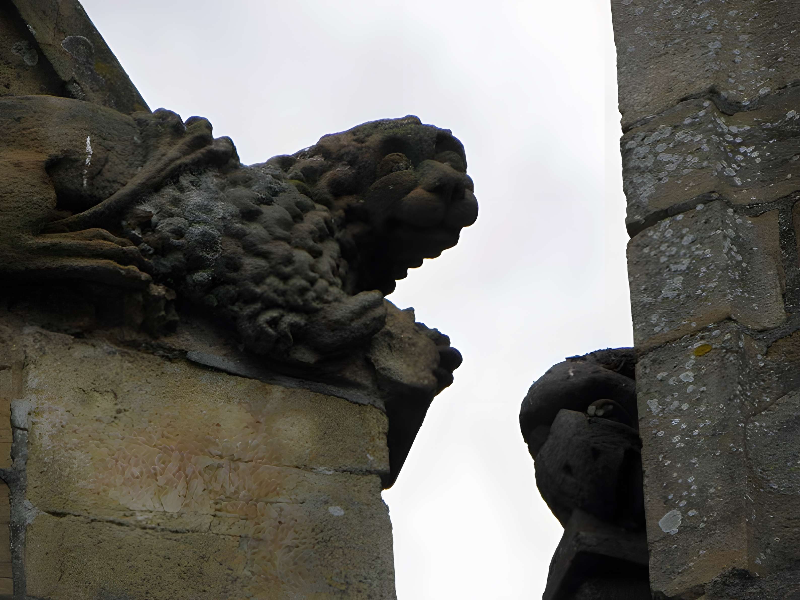 Basilique Notre-Dame-de-l'Assomption de La Guerche-de-Bretagne