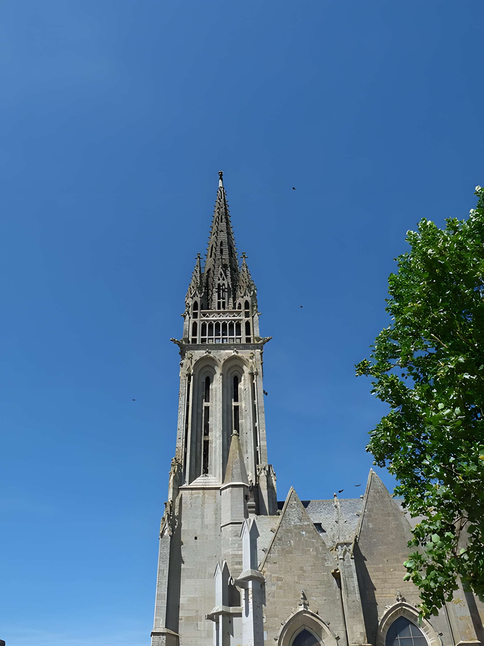 Basilique Notre-Dame-de-l'Assomption de La Guerche-de-Bretagne