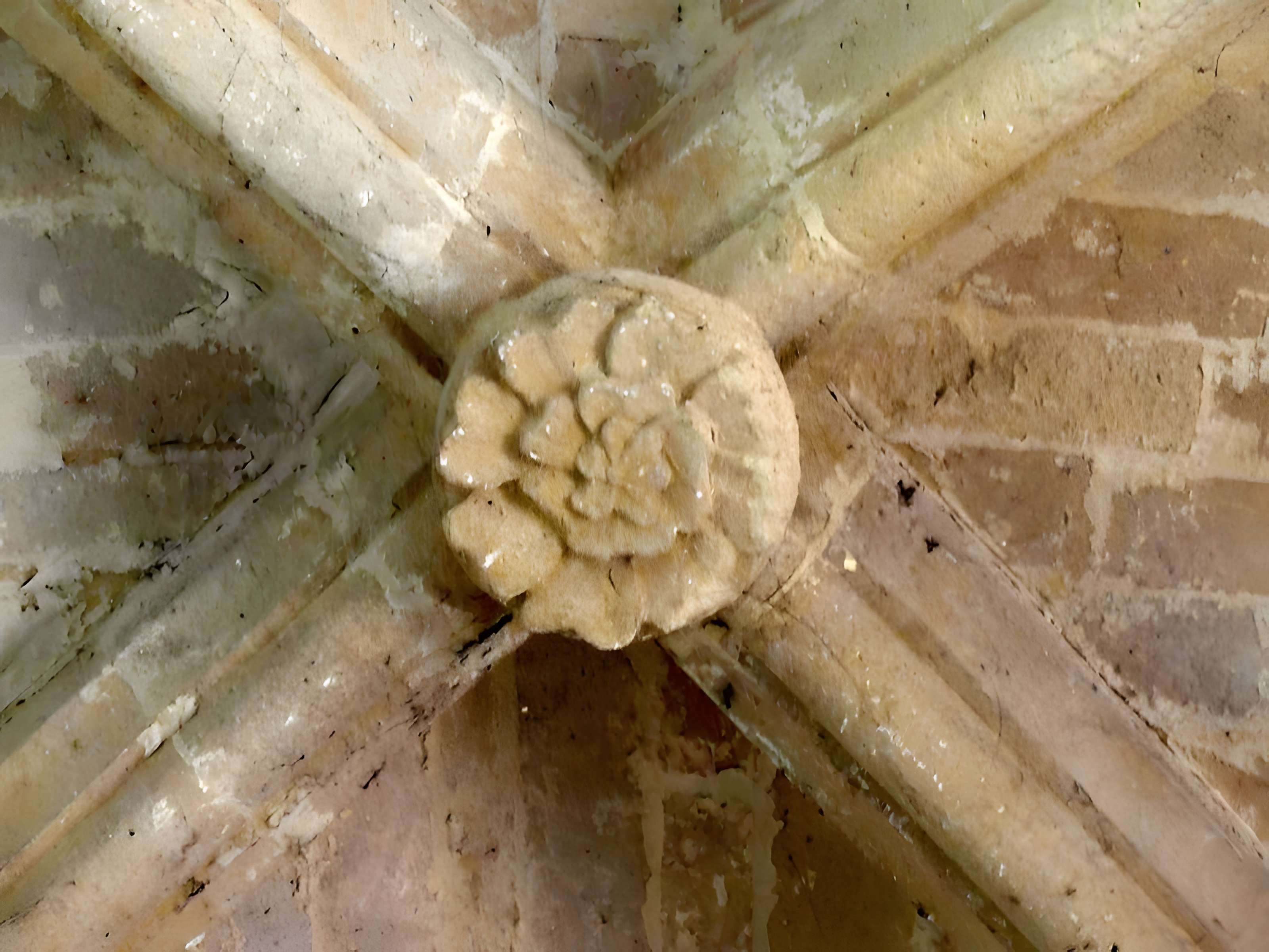 Église Saint-Martin de Bouillant