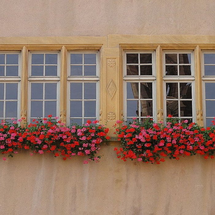 Photo de Ancien hôtel de ville de Rouffach