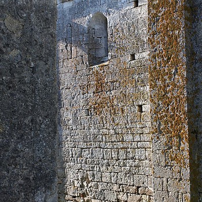 Photo de Église Saint-Martin de Canourgues des Junies