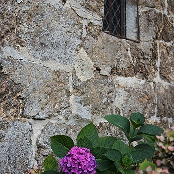 Photo de Église Saint-Martin de Chalvignac