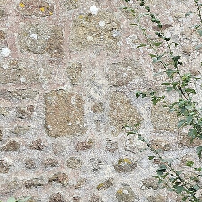 Photo de Église Saint-Martin de Chatillon-sur-Colmont