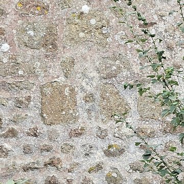 Église Saint-Martin de Chatillon-sur-Colmont