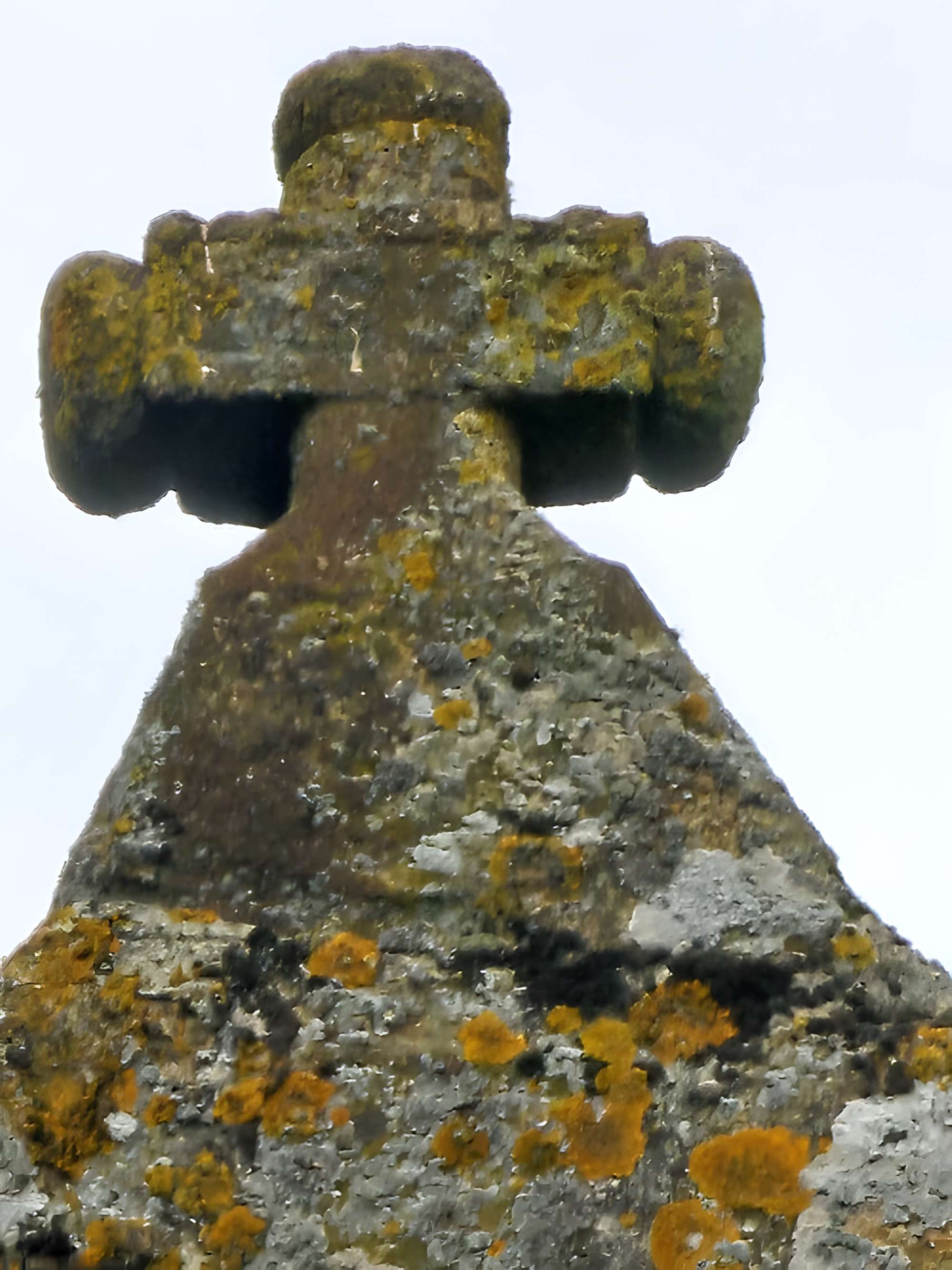 Église Saint-Martin de Chatillon-sur-Colmont