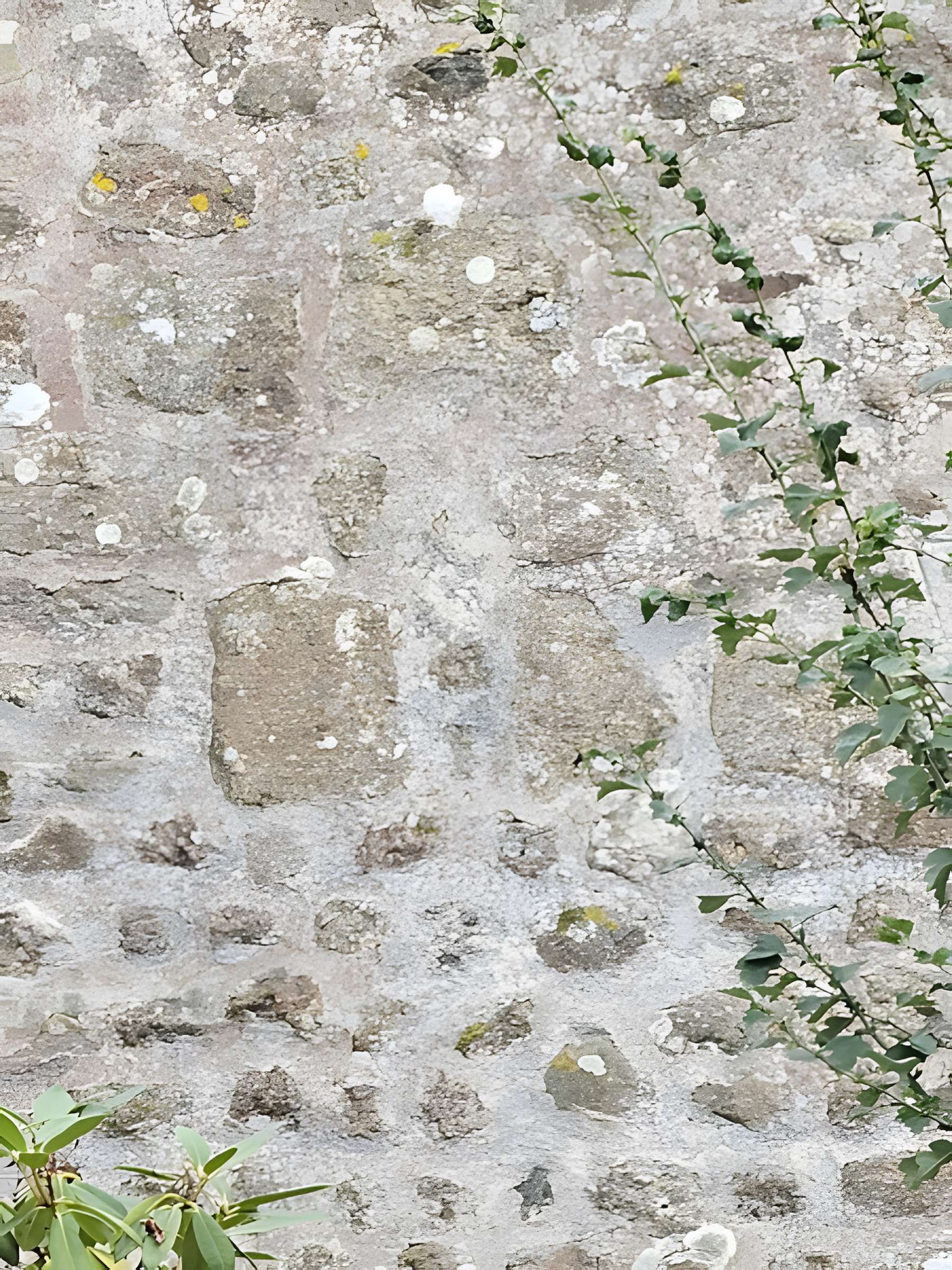 Église Saint-Martin de Chatillon-sur-Colmont