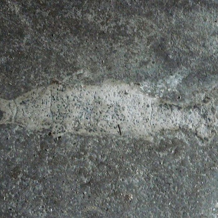 Photo de Église Saint-Martin de Coulaures