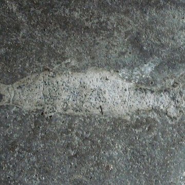 Église Saint-Martin de Coulaures