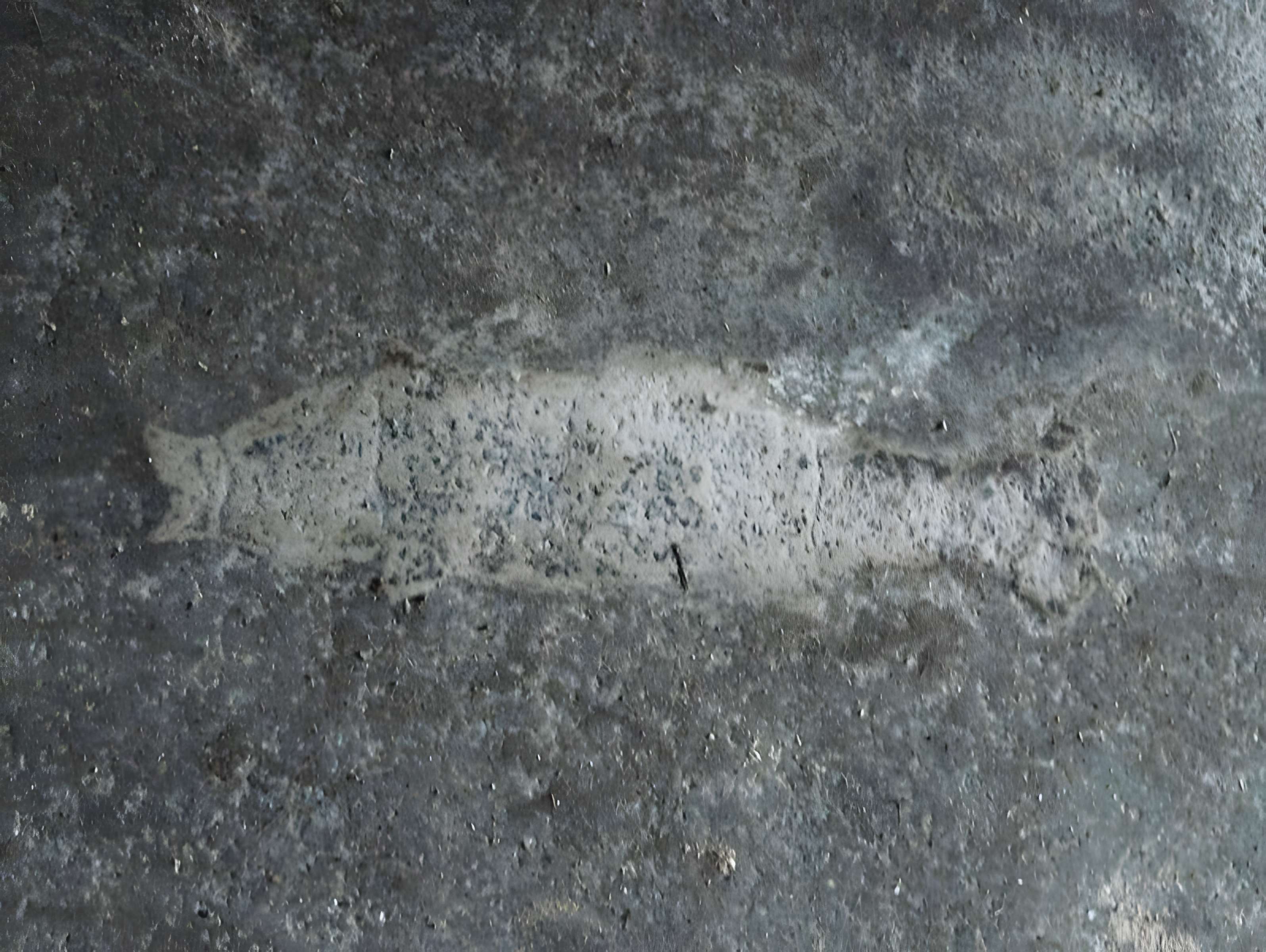 Église Saint-Martin de Coulaures