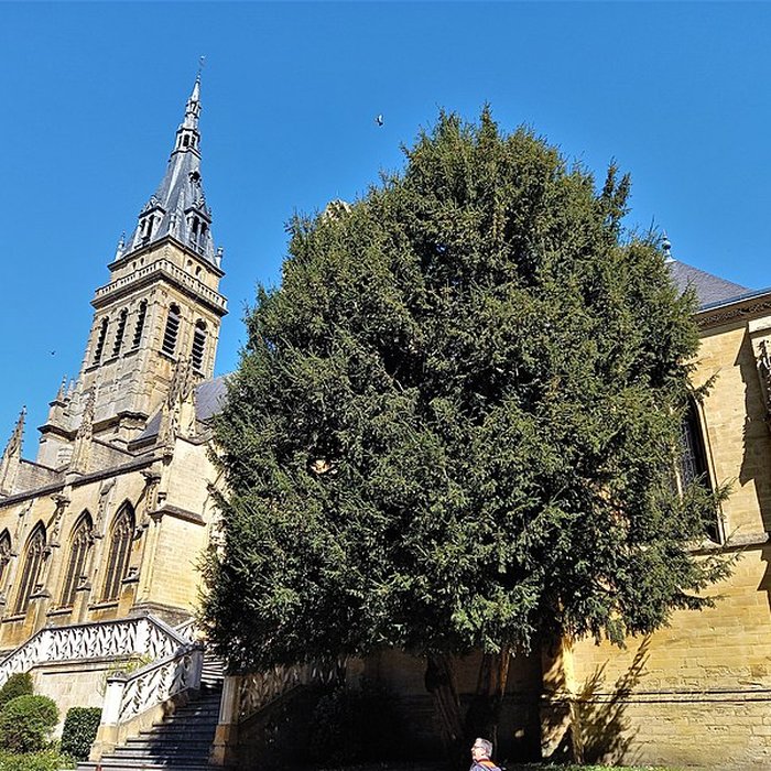 Photo de Basilique Notre-Dame-dEspérance de Charleville-Mézières