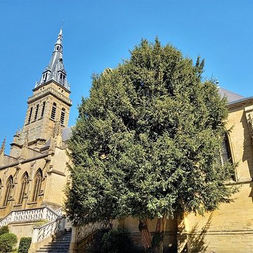 Basilique Notre-Dame-dEspérance de Charleville-Mézières