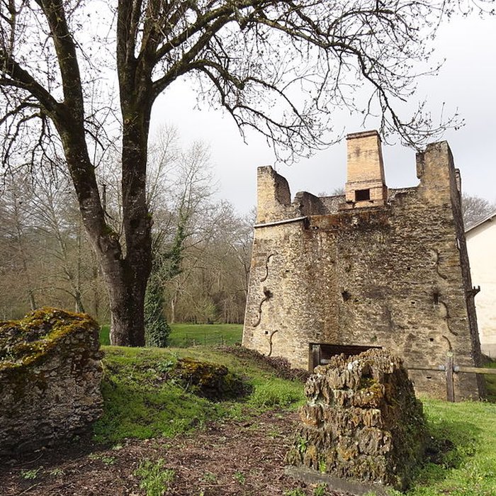 Photo de Anciennes forges de Brocas