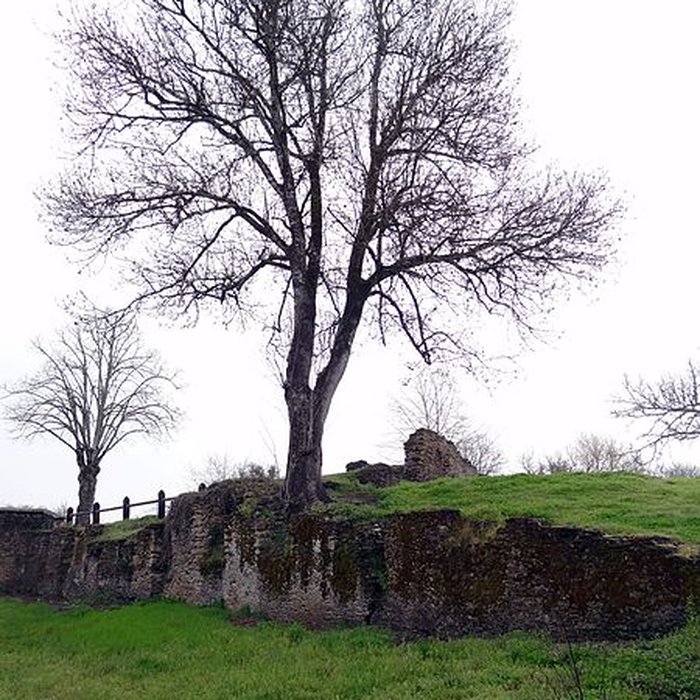 Photo de Anciennes forges de Brocas