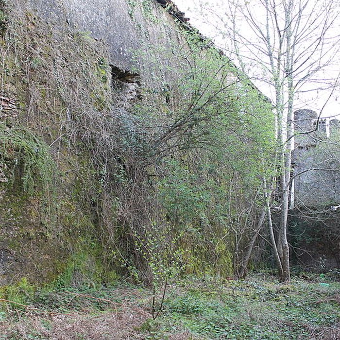 Photo de Anciennes forges de Brocas