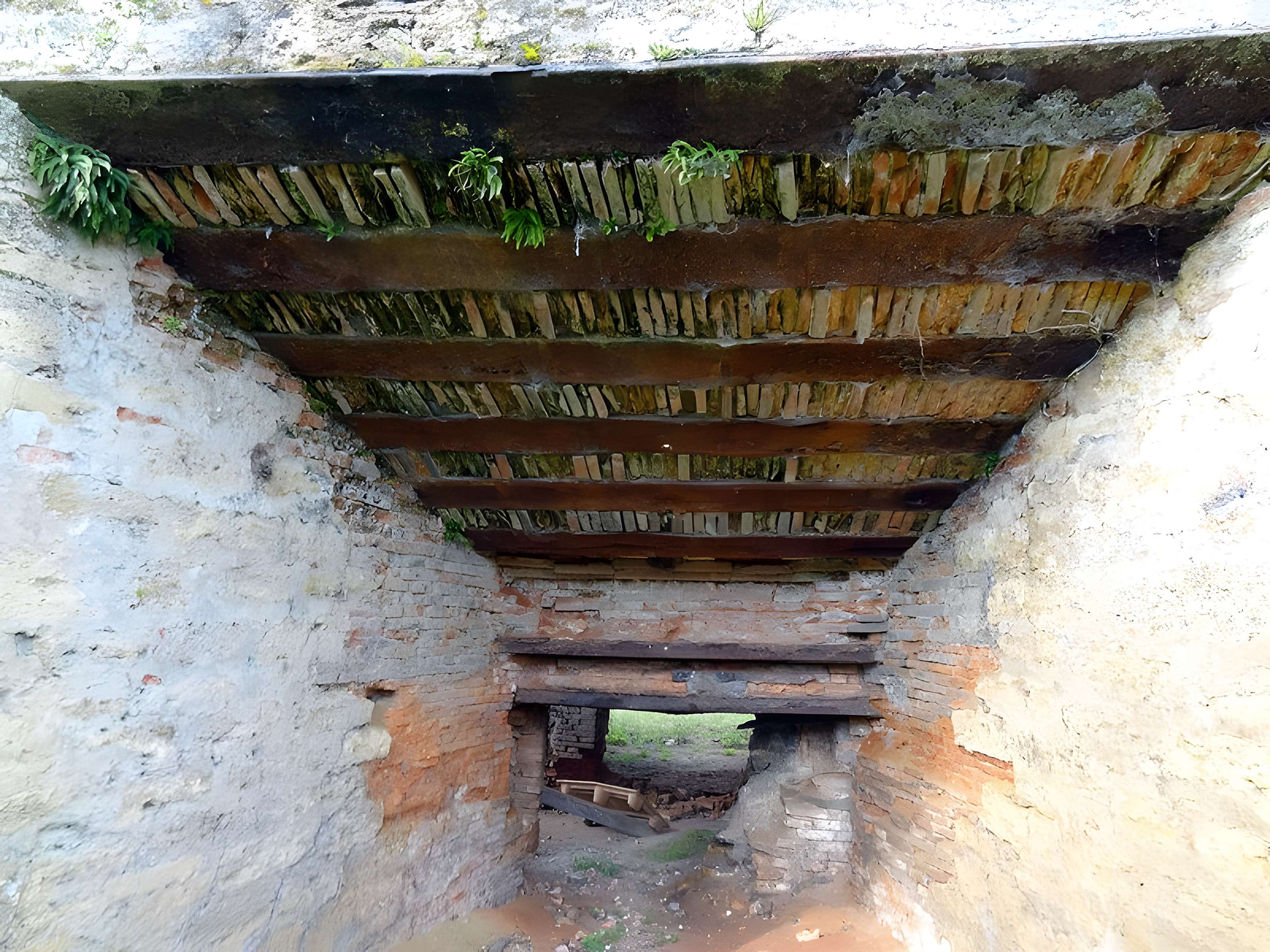 Anciennes forges de Brocas