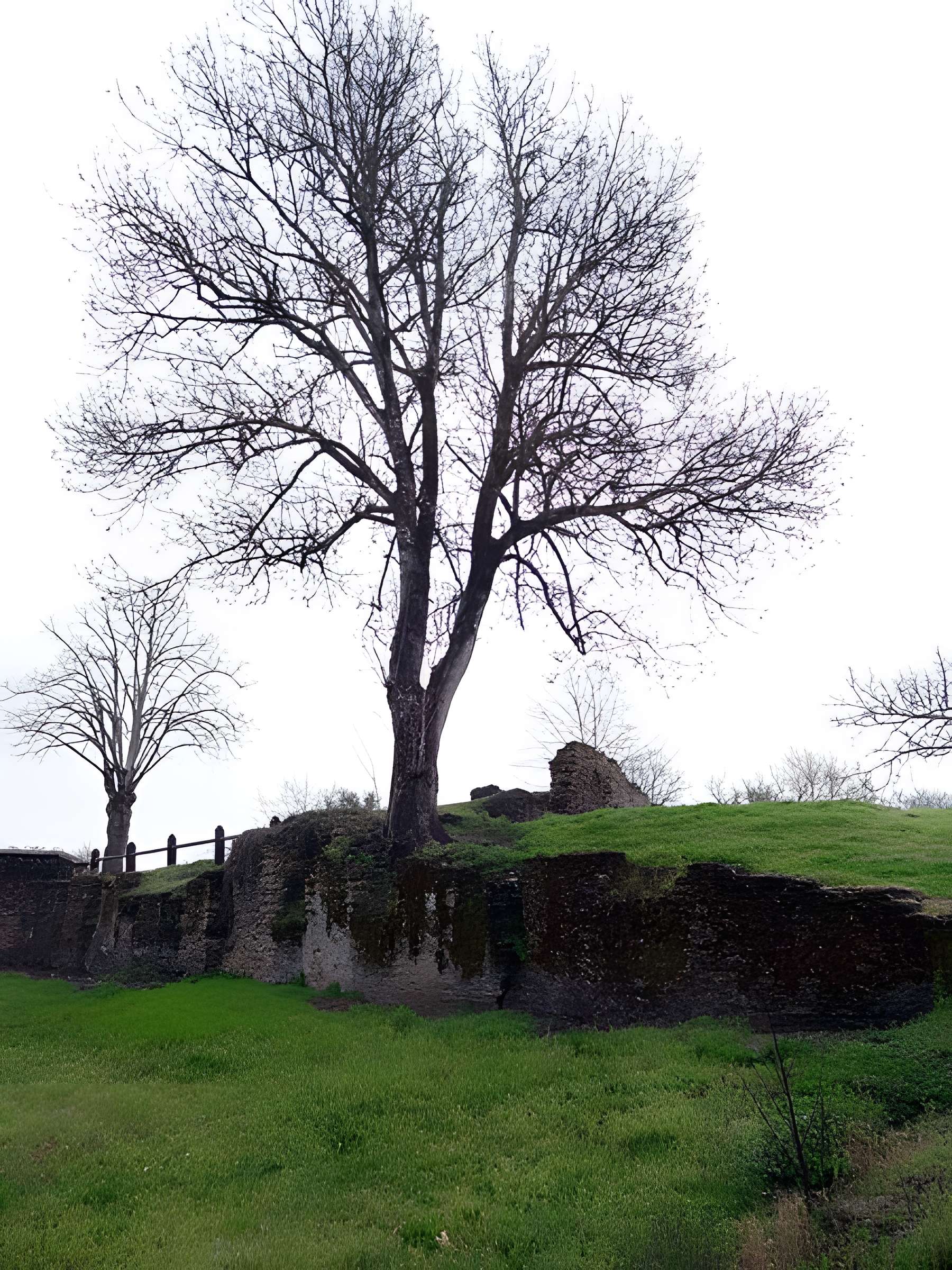 Anciennes forges de Brocas