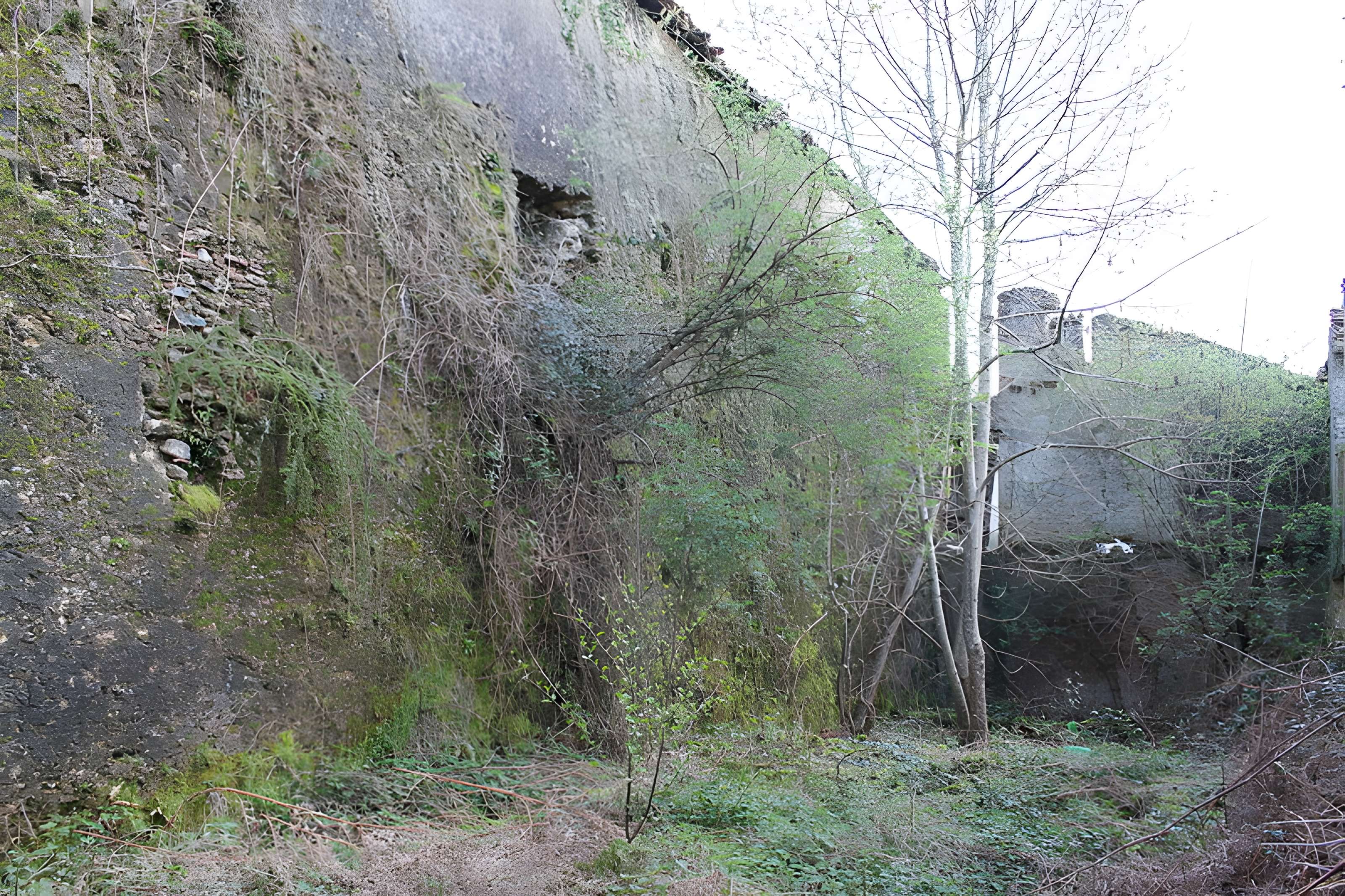 Anciennes forges de Brocas
