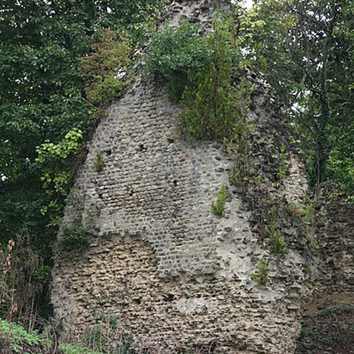 Photo de Aqueduc de la Brévenne également sur commune de Tassin-la-Demi-Lune