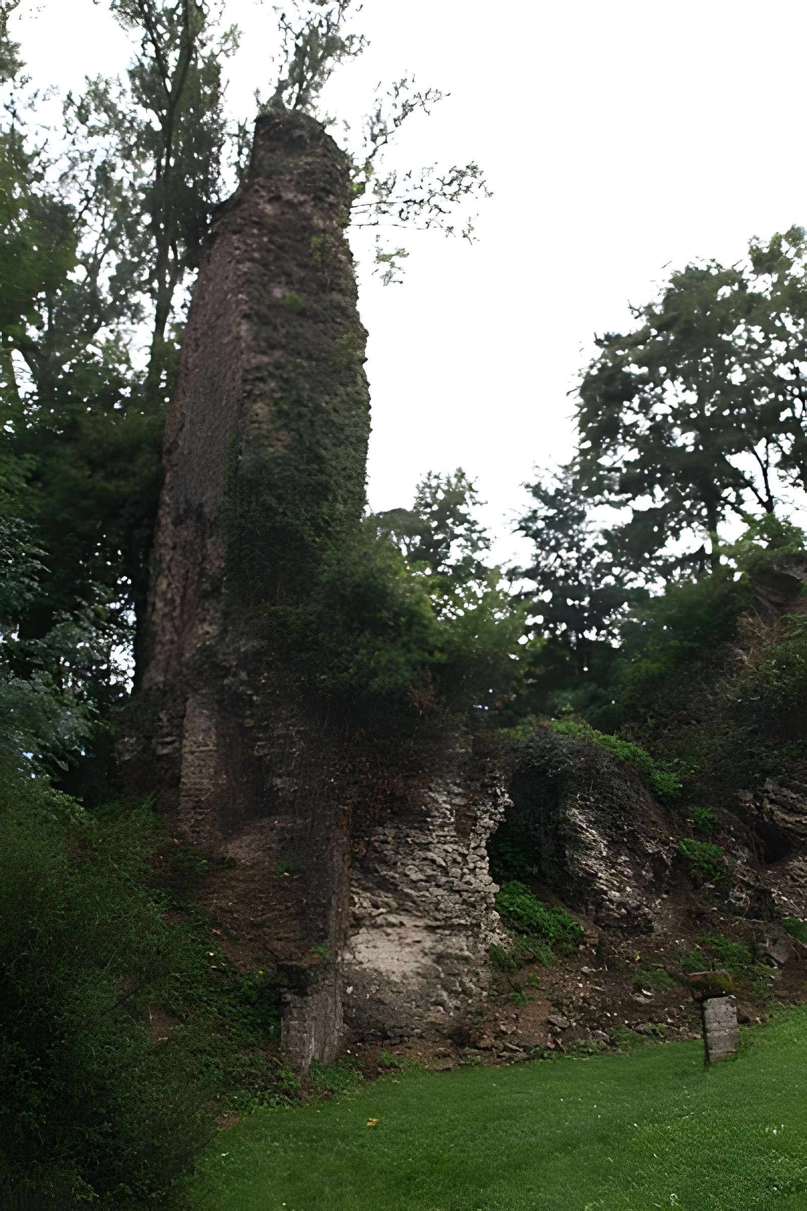 Aqueduc de la Brevenne (également sur commune d'Ecully)