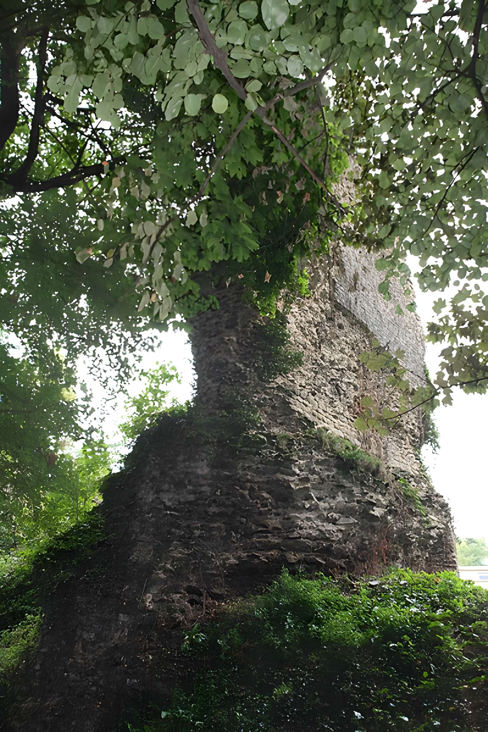 Aqueduc de la Brevenne (également sur commune d'Ecully)