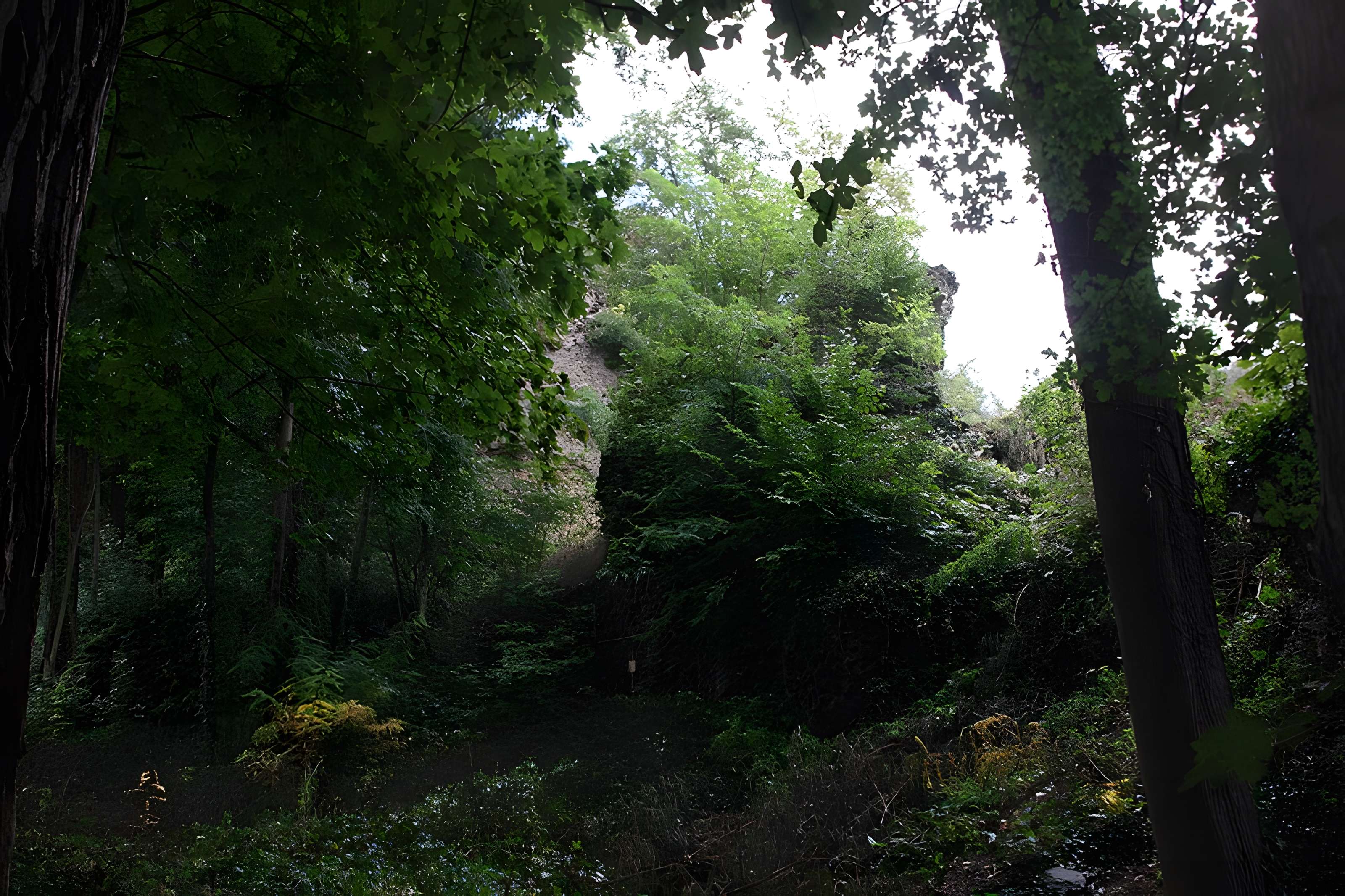 Aqueduc de la Brevenne (également sur commune d'Ecully)