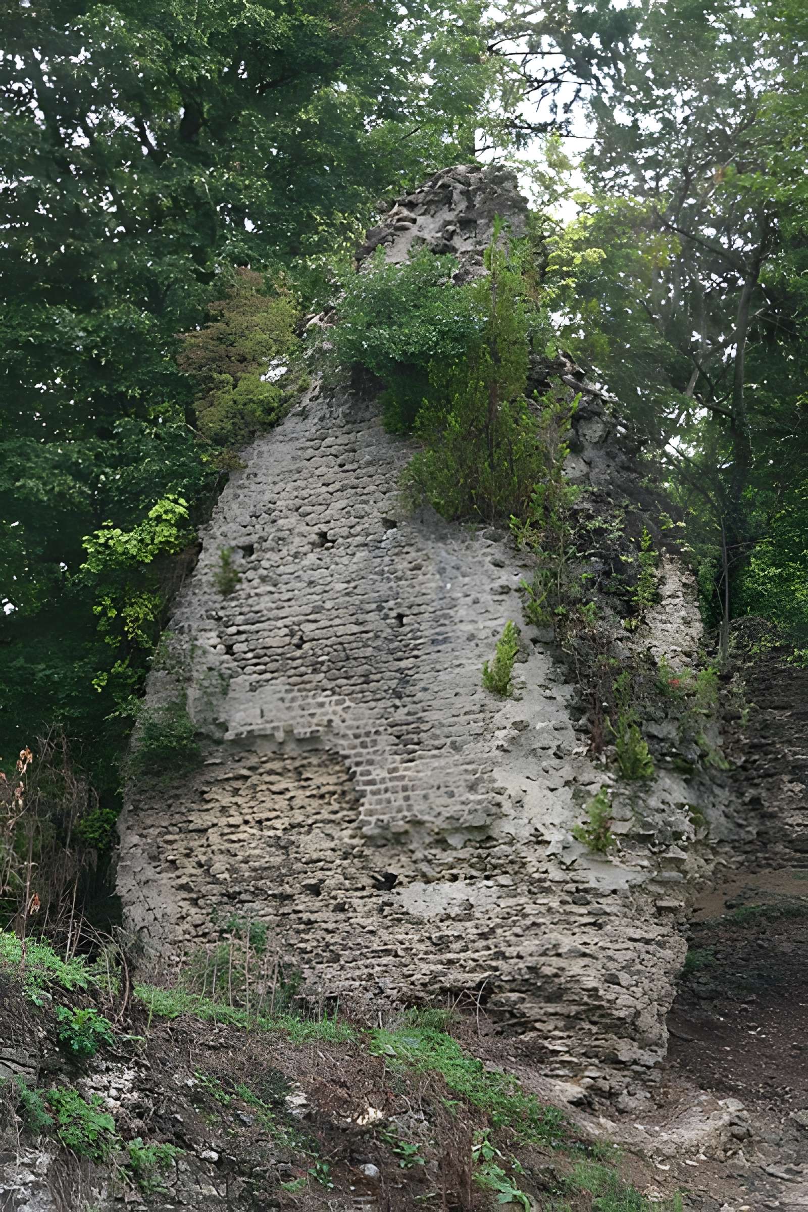Aqueduc de la Brevenne (également sur commune d'Ecully)