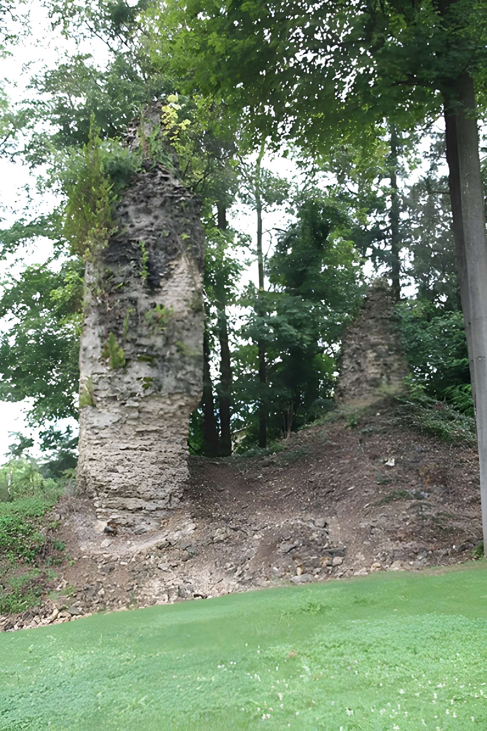 Aqueduc de la Brevenne (également sur commune d'Ecully)