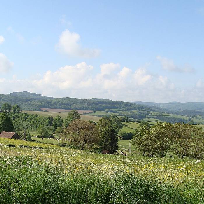 Photo de Église Saint-Martin de Garchizy