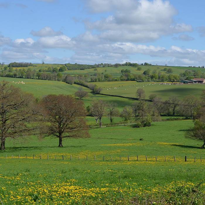 Photo de Église Saint-Martin de Garchizy