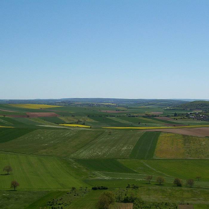 Photo de Église Saint-Martin de Garchizy