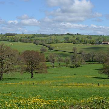 Église Saint-Martin de Garchizy