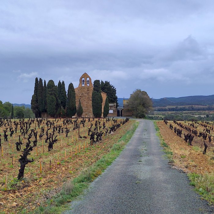 Photo de Église Saint-Martin de Gasparets à Boutenac